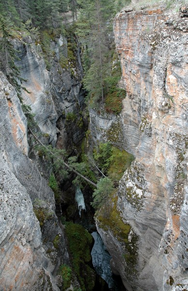 Maligne Canyon